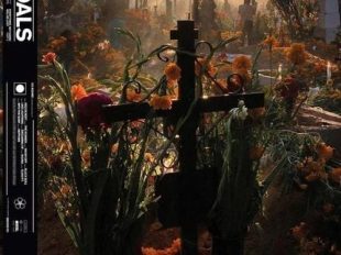 Foals - Everything Not Saved Will Be Lost Part II